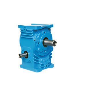 Worm Gear Box