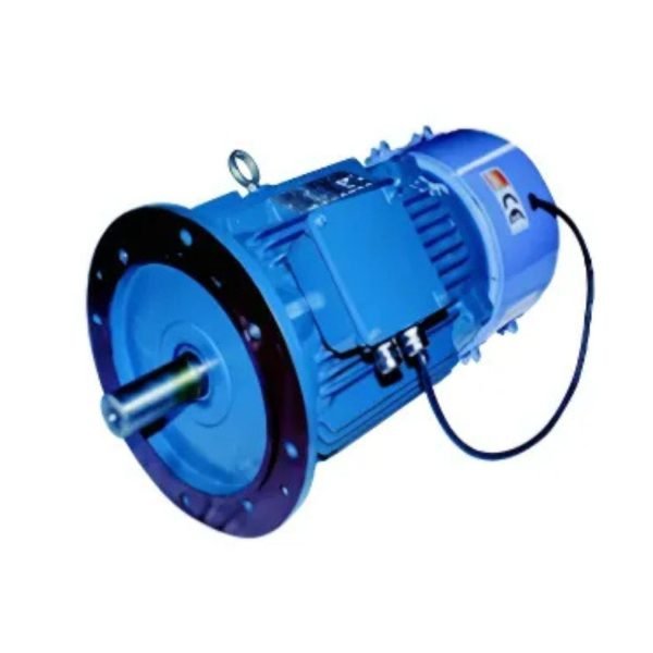 Crane Duty Motor