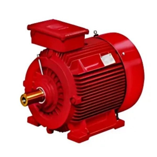 Fire Fighting Motor