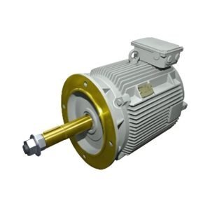 Cooling Tower Motor
