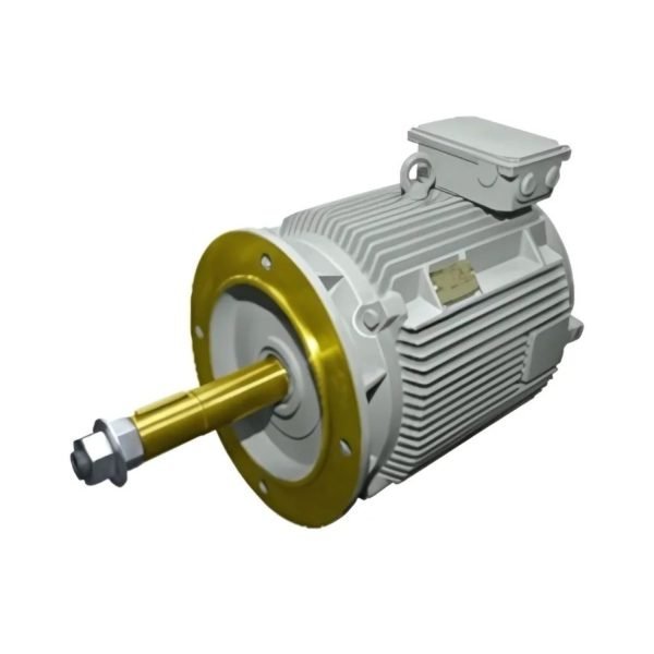 Cooling Tower Motor