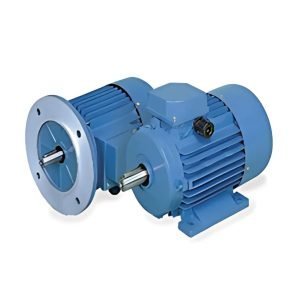 Dual Voltage motor
