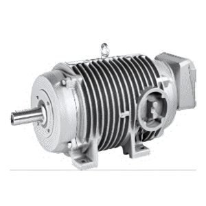 Roller Table Motor