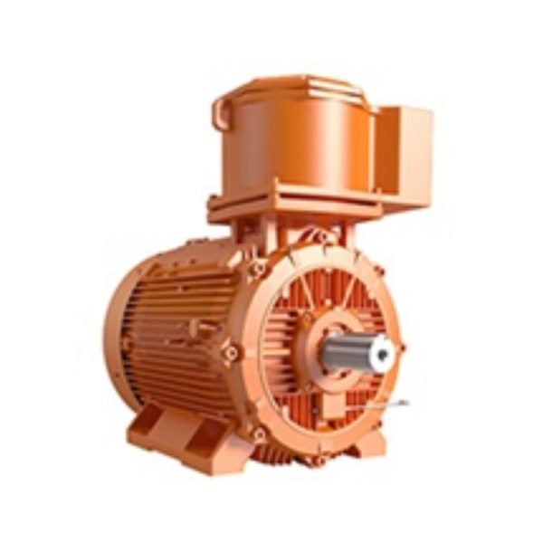 Hazardous Area Motor (Type e,d,p,i)